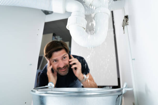 Best Best Plumbers Near Me  in Wildwood, TN